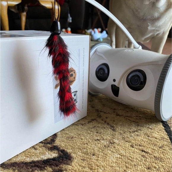 Skymee owl robot - Picture 3 of 3